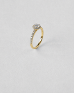 Round Cut Halo Engagement Ring — Yellow gold