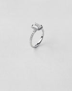 Emerald Cut Halo Engagement Ring