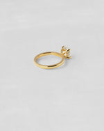 Hidden Halo Round Cut Engagement Ring