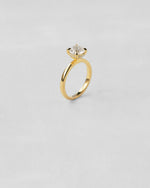 Hidden Halo Round Cut Engagement Ring